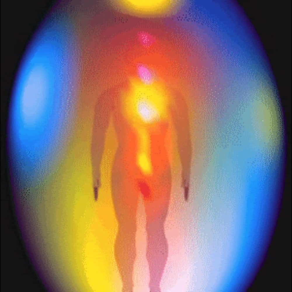 Meet your Posher, Chloe